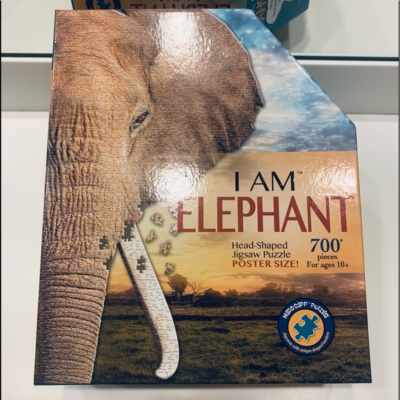 Jigsaw  Puzzle 🧩 - Picture 4 of 12